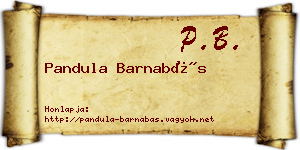 Pandula Barnabás névjegykártya